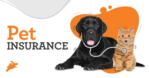 DMAC-Solutions Pet Insurance in the USA - USA DMAC-Solutions DMAC-Solutions Pet Insurance